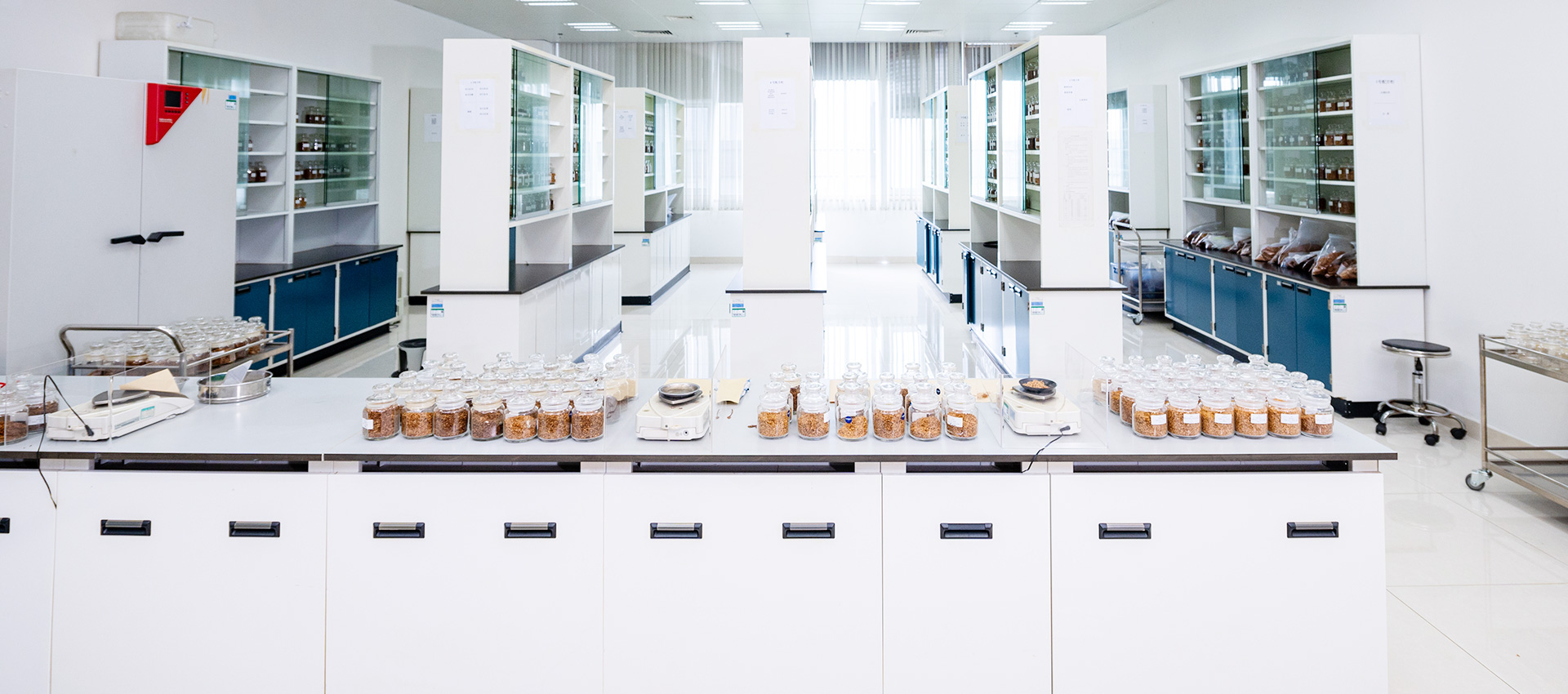 中烟关于我们视频