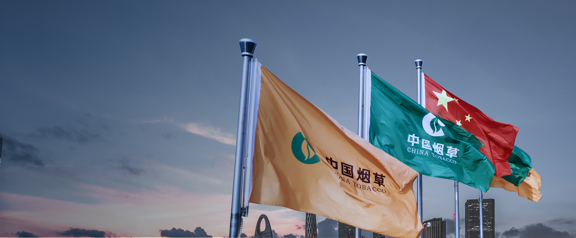 成人视频国产概况
